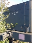 Паровоз Лебедянка в полях Алтайского края