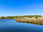 Без подписи