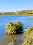 Без подписи