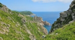 Без подписи