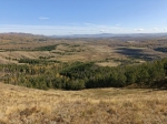 Без подписи
