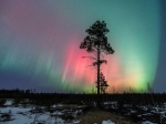 Без подписи