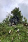 Без подписи