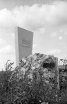 Лето 1970 года. Автор: А.С.Лесин