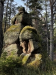 Без подписи