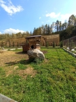 Зоопарк Карым