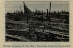 Последствия урагана 16 (29) июня 1904 года для Сокольников