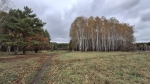 Без подписи