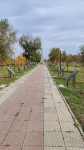 Без подписи