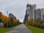Без подписи