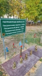 Без подписи