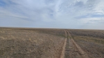 Без подписи