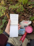Без подписи