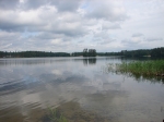Без подписи
