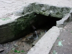 Без подписи