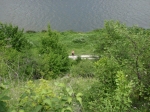 Без подписи
