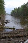Без подписи