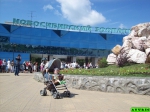 Без подписи