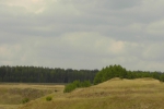 Без подписи