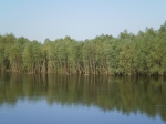 Без подписи