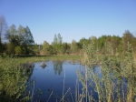 Без подписи