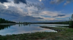 Без подписи