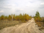 Дорога на Кщару от Бурино