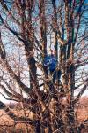 Беседка  на том самом дереве.