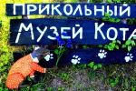 Без подписи