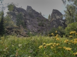 Без подписи