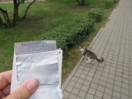 Так выглядит блокнот
