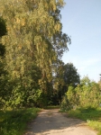 Без подписи