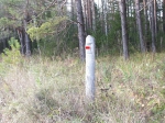 Виртуальная часть
