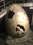 Без подписи