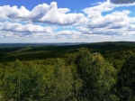 Без подписи