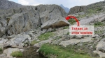 Без подписи