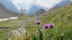 В Зеленой гостинице