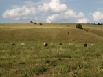Без подписи