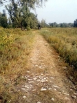 Катькина дорога