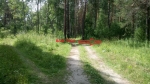 Развилка трех дорог