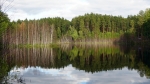Без подписи