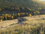 Без подписи